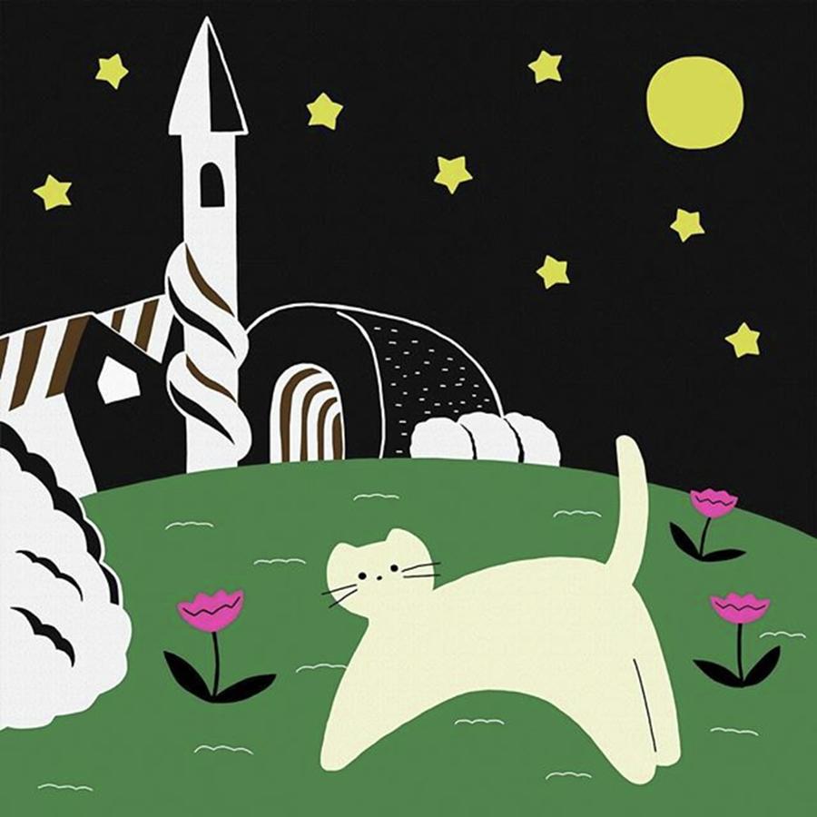 Cat Photograph - Midnight 
#illustration #design #cat by Mariko Yamada