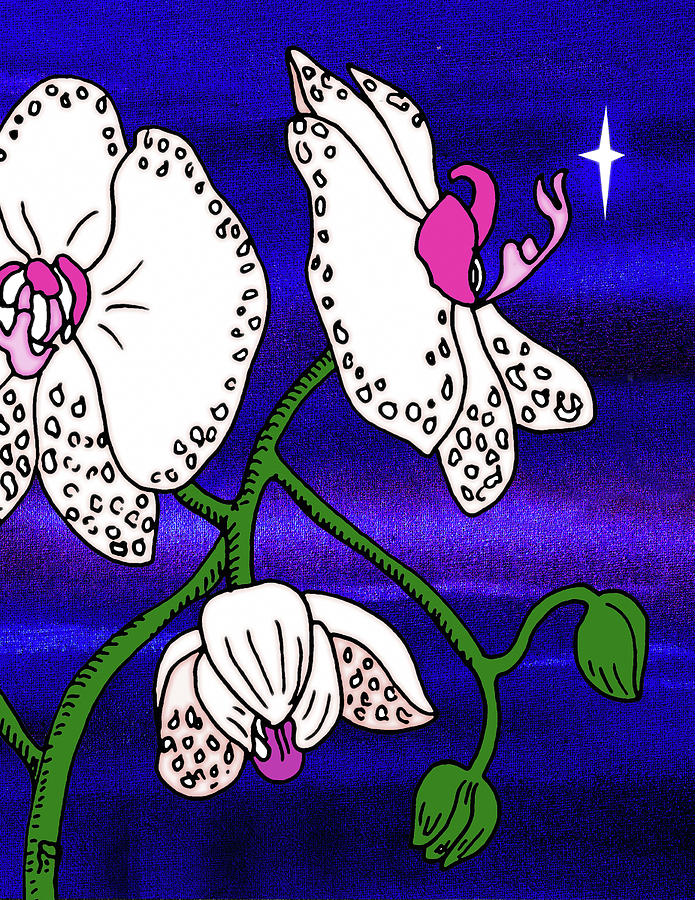Orchid Mixed Media - Midnight Orchid  by Irina Sztukowski