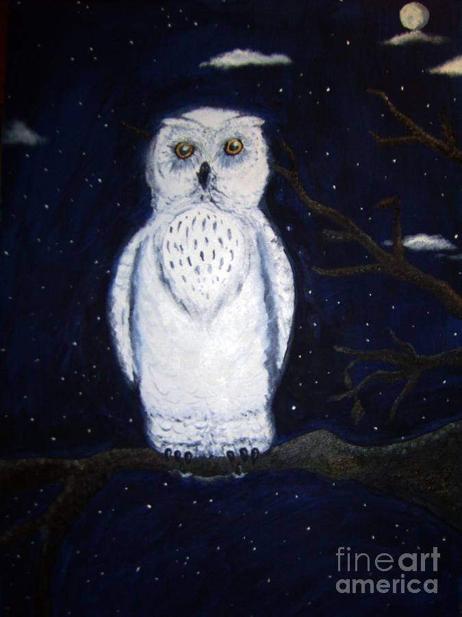 Midnight Owl Painting by Cathrine Wendt - Fine Art America