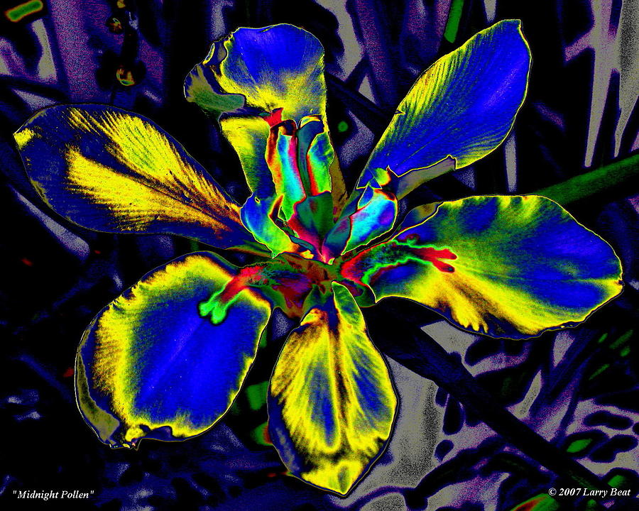 Midnight Pollen Digital Art by Larry Beat