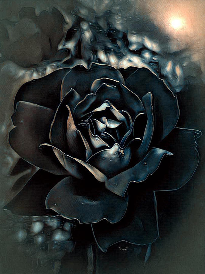 Midnight Rose Digital Art by Artful Oasis