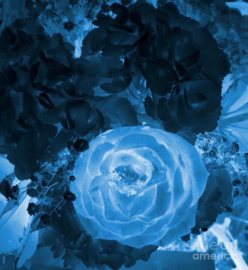 Abstract Photograph - Midnight Rose by Kathleen Struckle