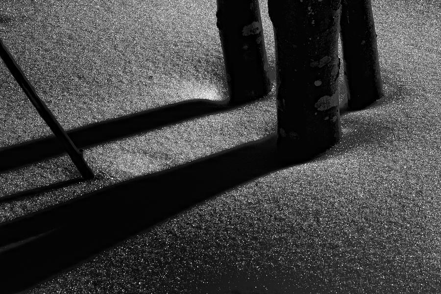 Midnight Snow Shadows #9468 Photograph by Irwin Barrett