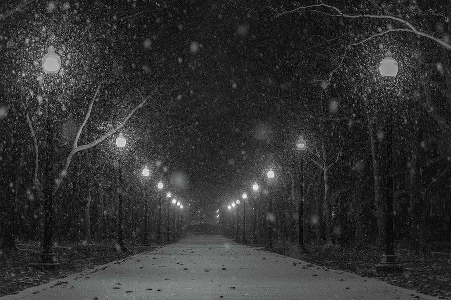 Midnight Snow Storm Photograph