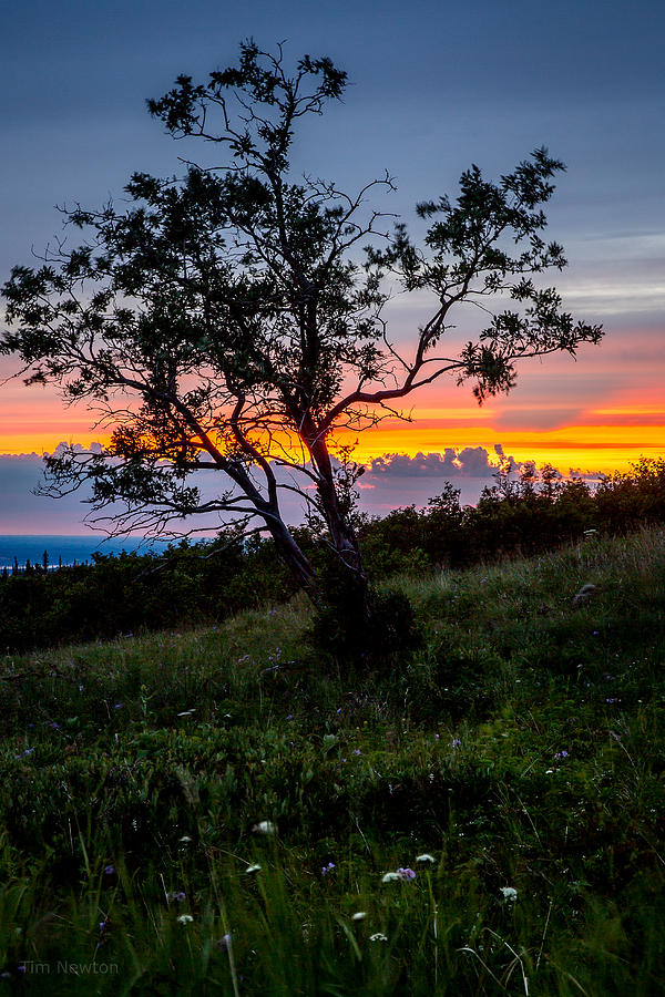Midnight Sunset Photograph by Tim Newton