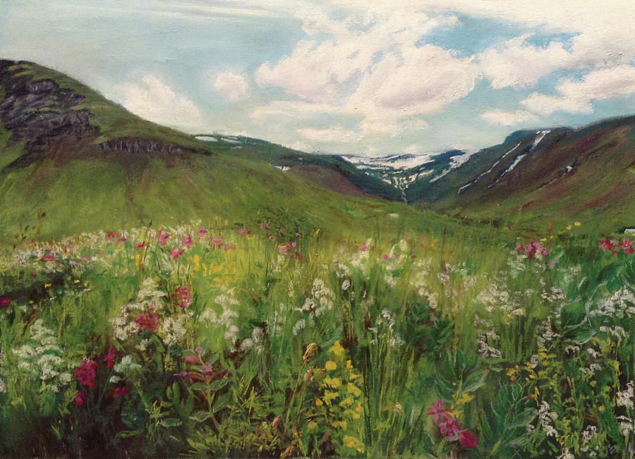 Midsummer Meadow Drawing by Susan Singer