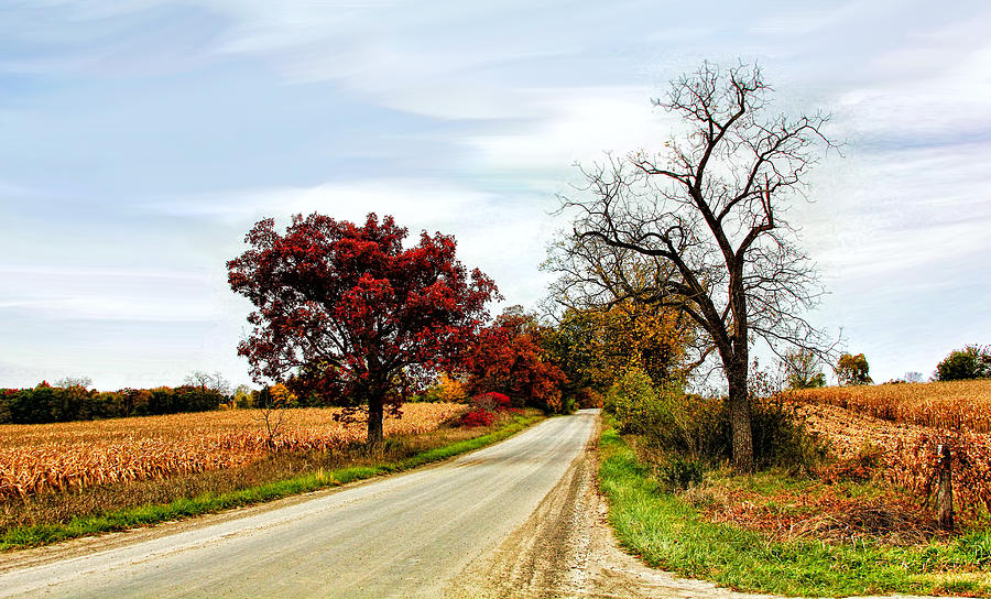 Midwest Autumn  Photograph by Pat Cook