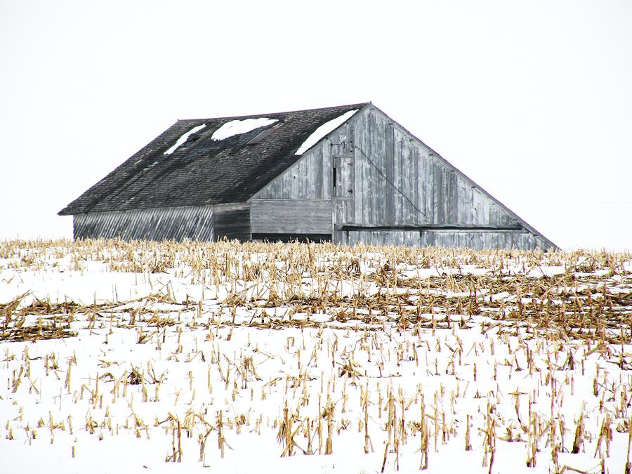 Midwest Barn in Winter Photograph by Christine Belt
