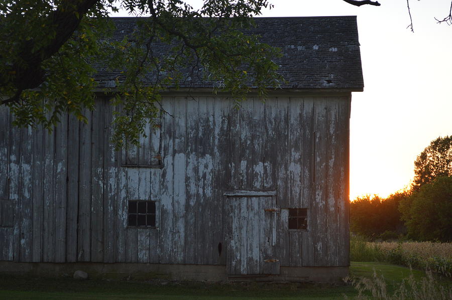 Midwest Barn Photograph by Sharmila Taylor - Fine Art America