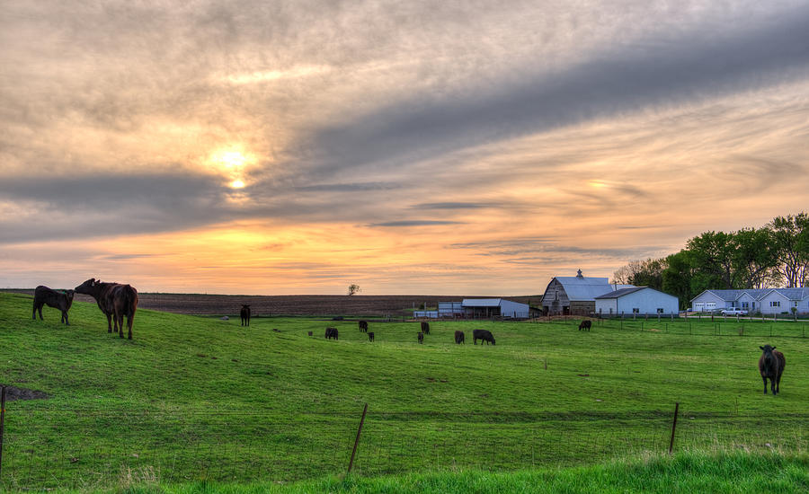 Sunset Photograph - Midwest Sunset by Shane Mossman Sunset Photograph - Midwest Sunset by Shane Mossman