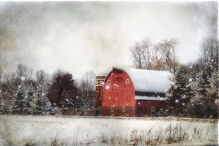 Winter Photograph - Midwest Winter by Angela King-Jones Winter Photograph - Midwest Winter by Angela King-Jones