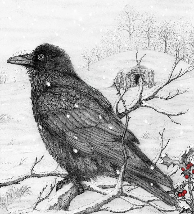 Raven Drawing - Midwinter Raven by Philip Harvey