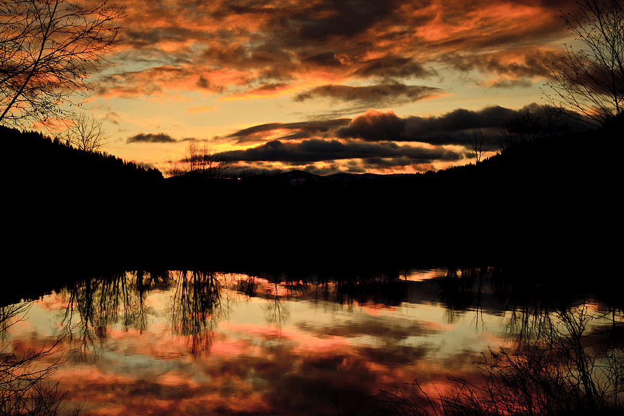 Midwinter Sunrise Photograph by Albert Seger