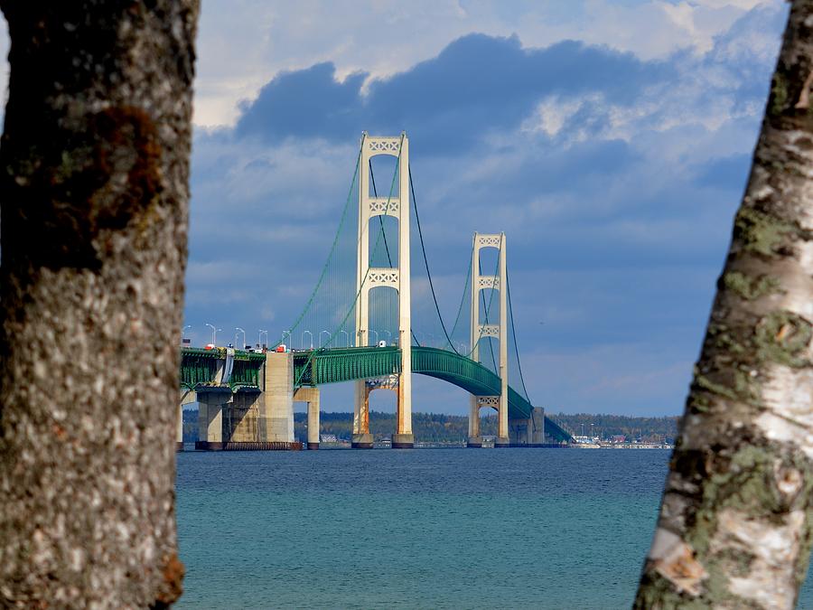 Mighty Mac Framed by Trees Photograph by Keith Stokes