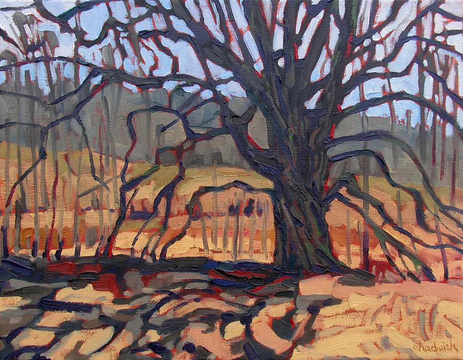 Mighty Oak Painting by Phil Chadwick
