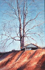 Landscape Painting - Mighty Sycamore by Pat Aube Gray Landscape Painting - Mighty Sycamore by Pat Aube Gray