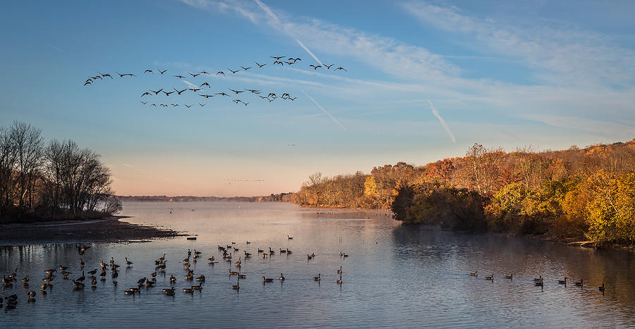 Migration of Geese over Lake Galena Photograph by Kevin Giannini