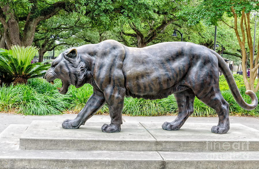 Baton Rouge Photograph - Mike the Tiger Statue LSU by Kathleen K Parker