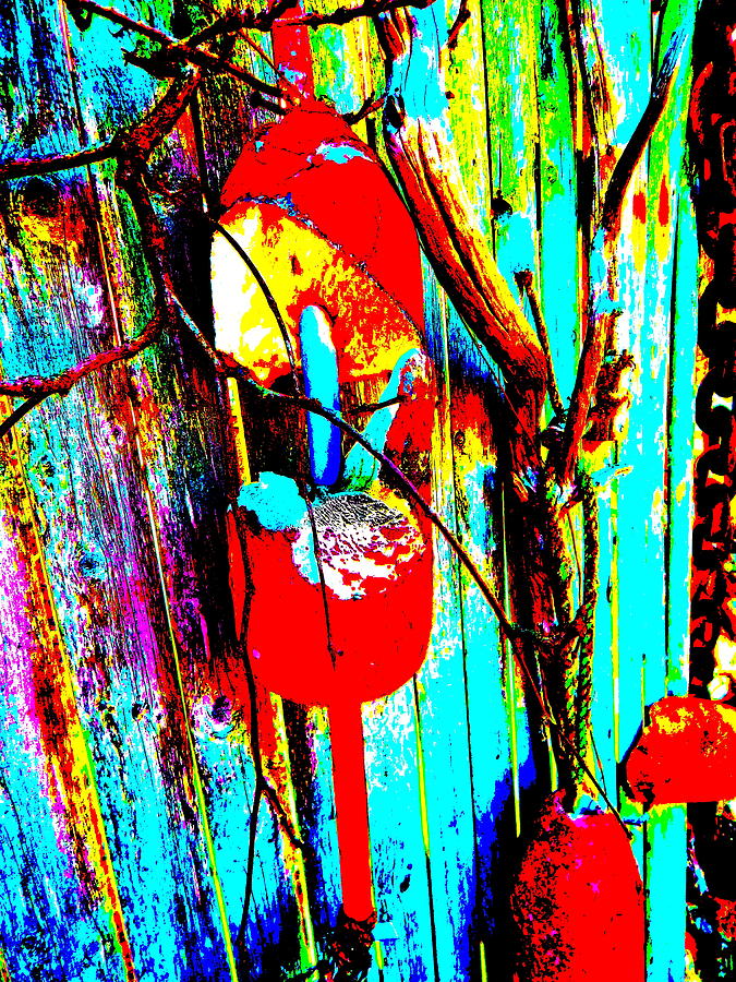 Mikes Art Fence 202 Photograph by George Ramos