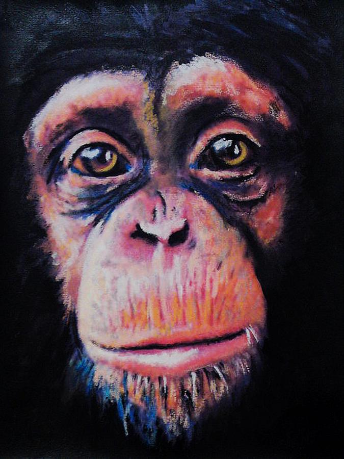 Chimpanzee Painting - Mikka by Mandy Thomas