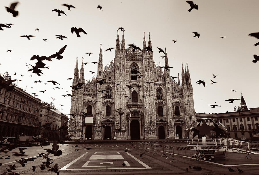 Milan Cathedral Square pigeon Photograph by Songquan Deng