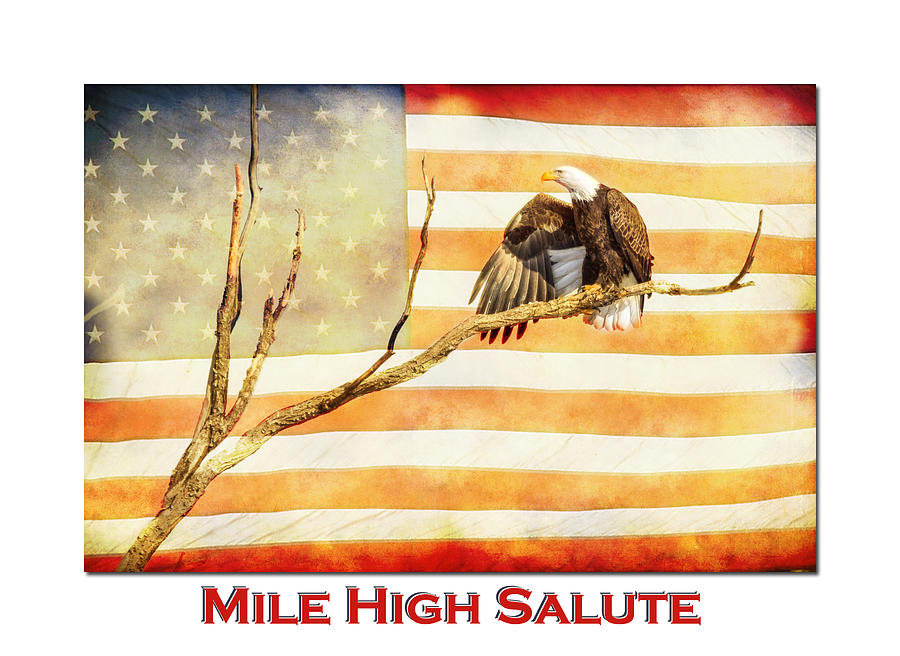 Mile High American Bald Eagle Salute Photograph by James BO Insogna