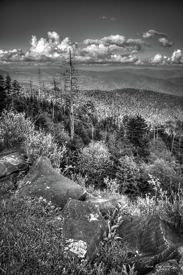 Mile High Blue Ridge Parkway Great Smoky Mountains Art Photograph