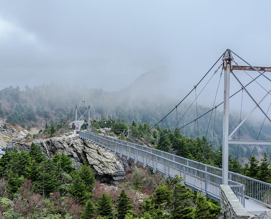 Mile-High Swinging Bridge Photograph by Jaime Mercado