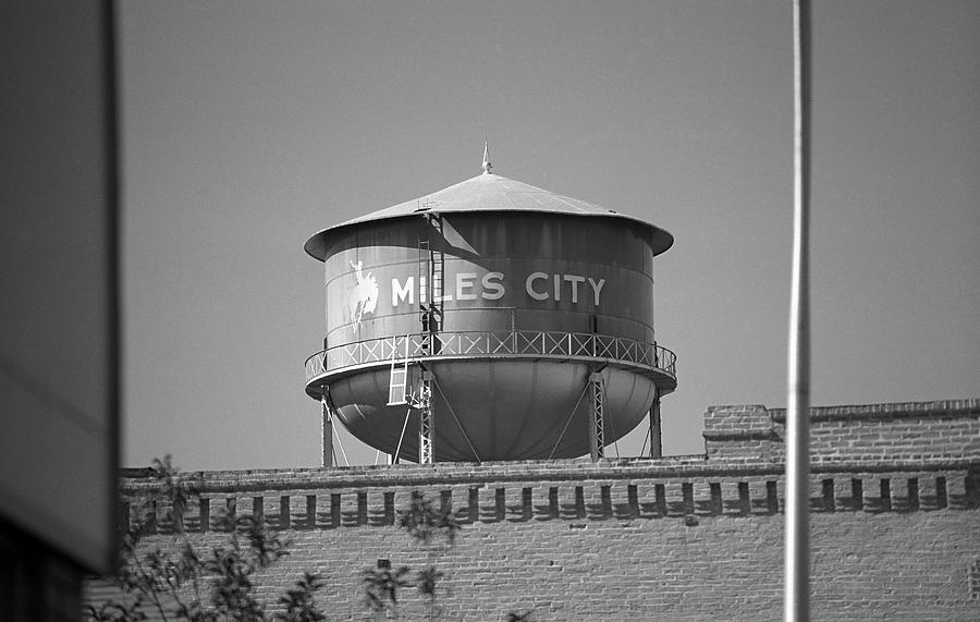 Animal Photograph - Miles City, Montana - Water Tower BW by Frank Romeo