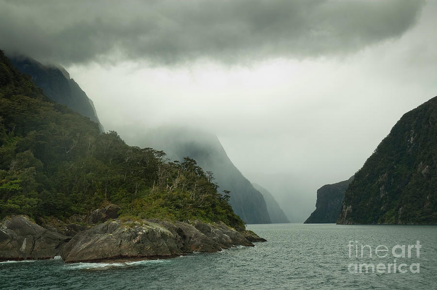 Milford Sound in Cloud  Photograph by Werner Padarin