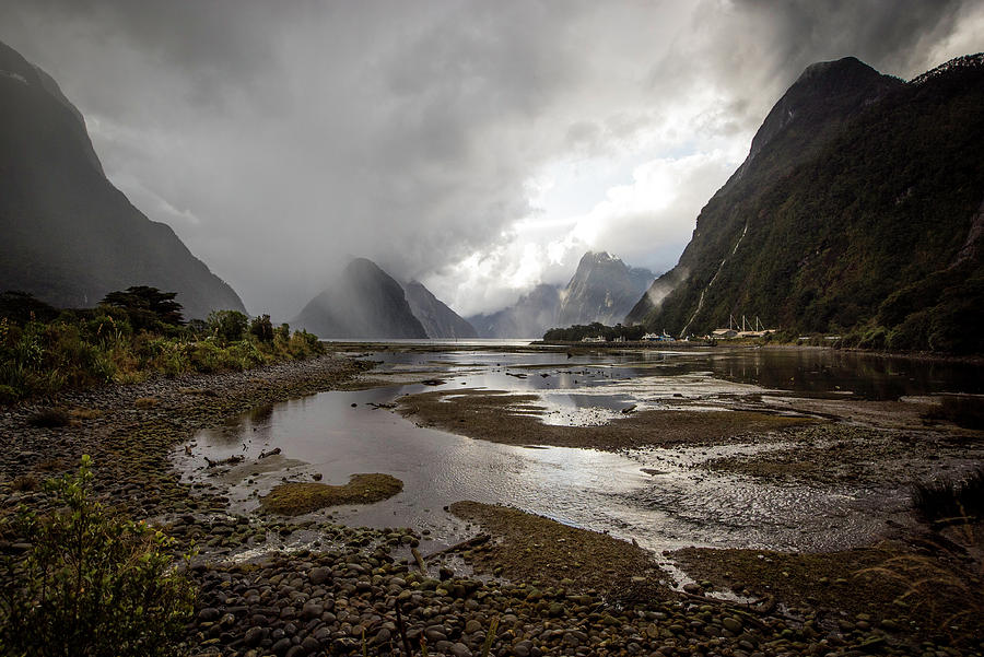 Milford Sound Photograph - Milford Sound by Tony Fuentes Milford Sound Photograph - Milford Sound by Tony Fuentes
