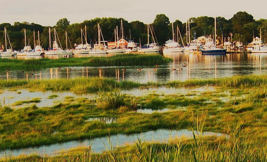 Milfords Harbor Photograph by John Scates