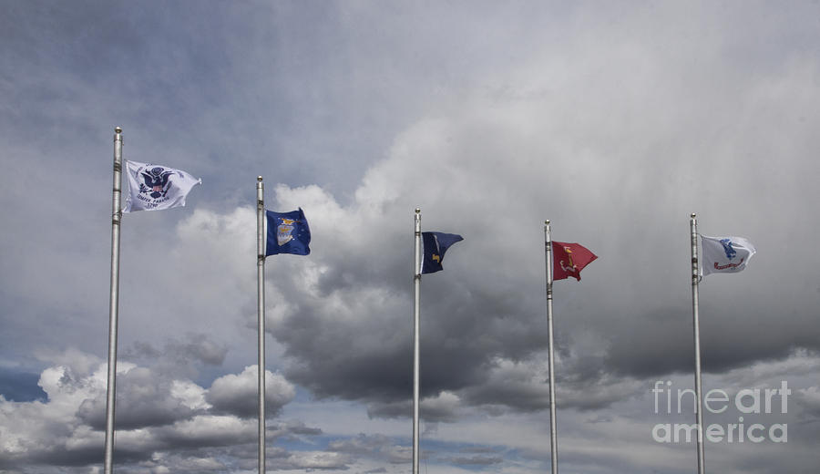 Military Branch Flags Photograph by Richard Lynch