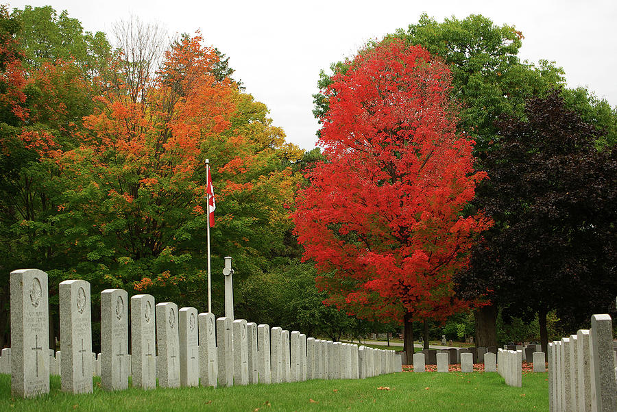Tree Photograph - Military Graves and Red Maple by Paul Wash