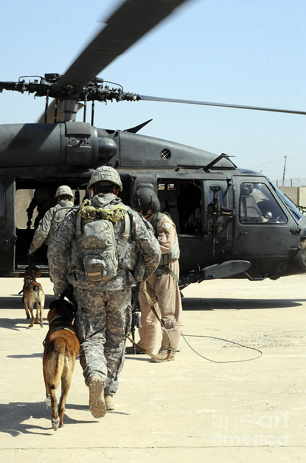 Military Working Dog Handlers Board Photograph by Stocktrek Images