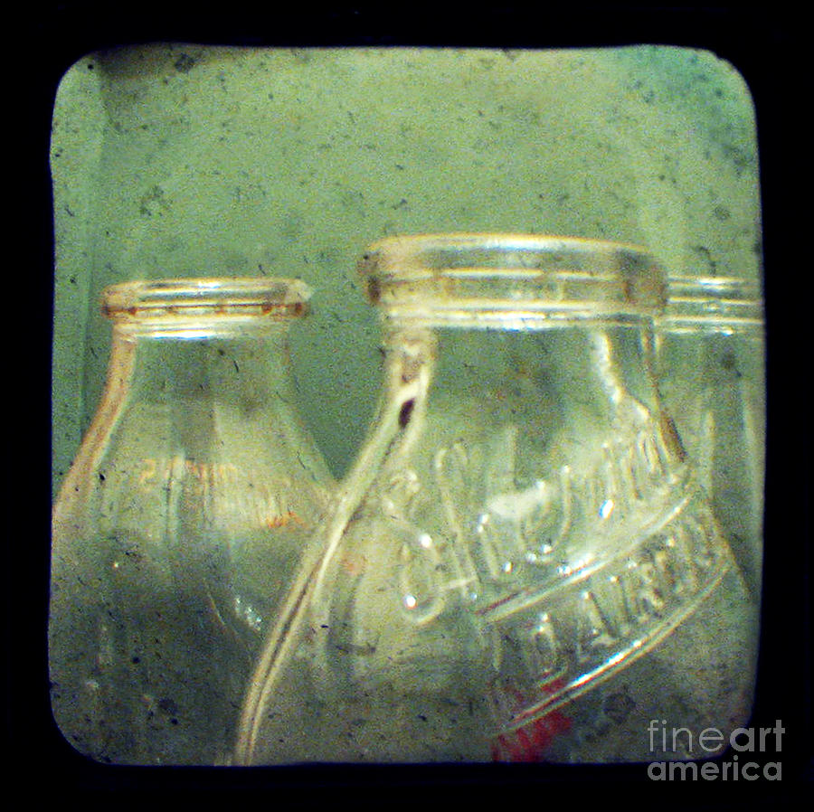 Milk Bottles Photograph by Dana DiPasquale