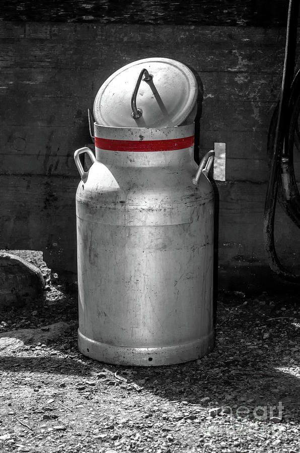 Milk Churn Photograph by Michelle Meenawong