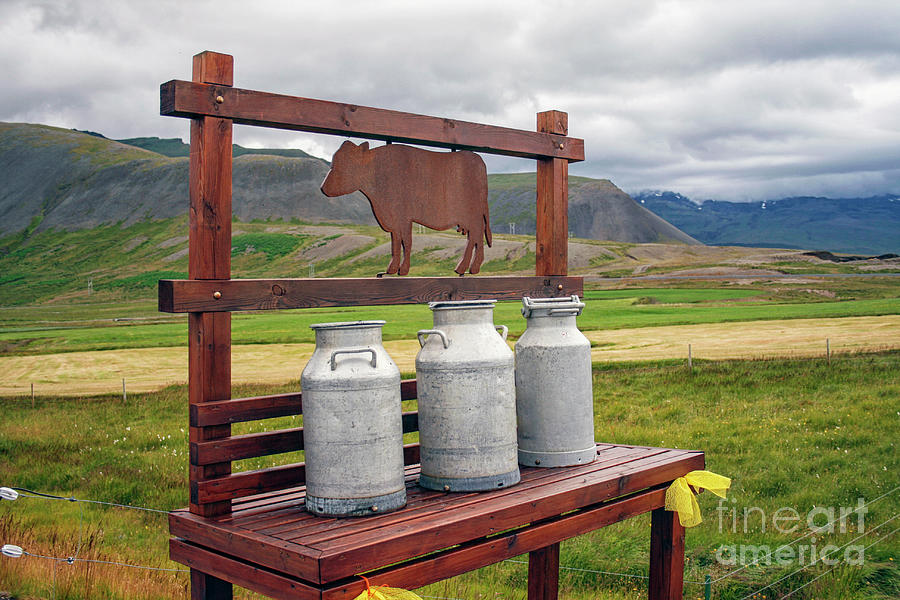 Milk churns Photograph by Patricia Hofmeester