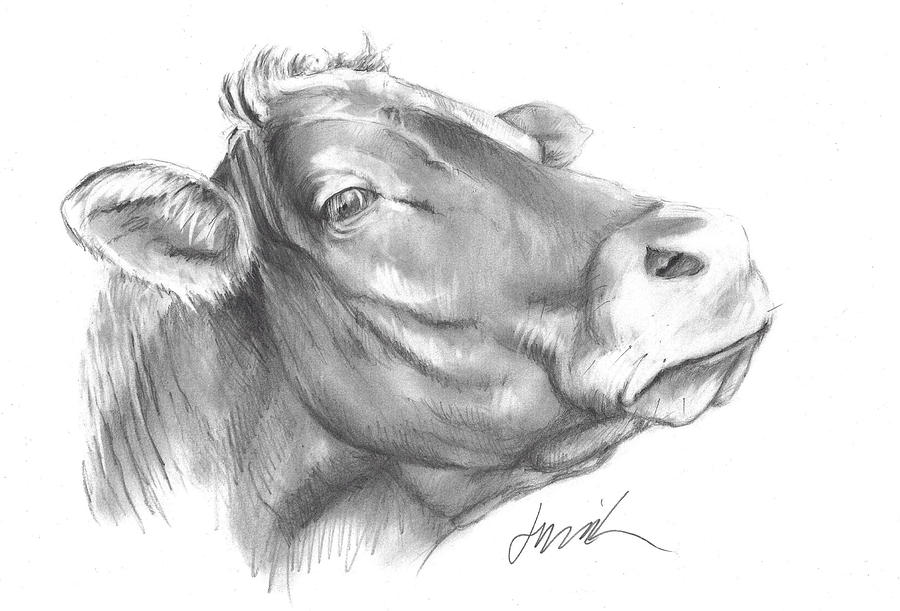 Milk Cow Drawing by Jacki Kellum