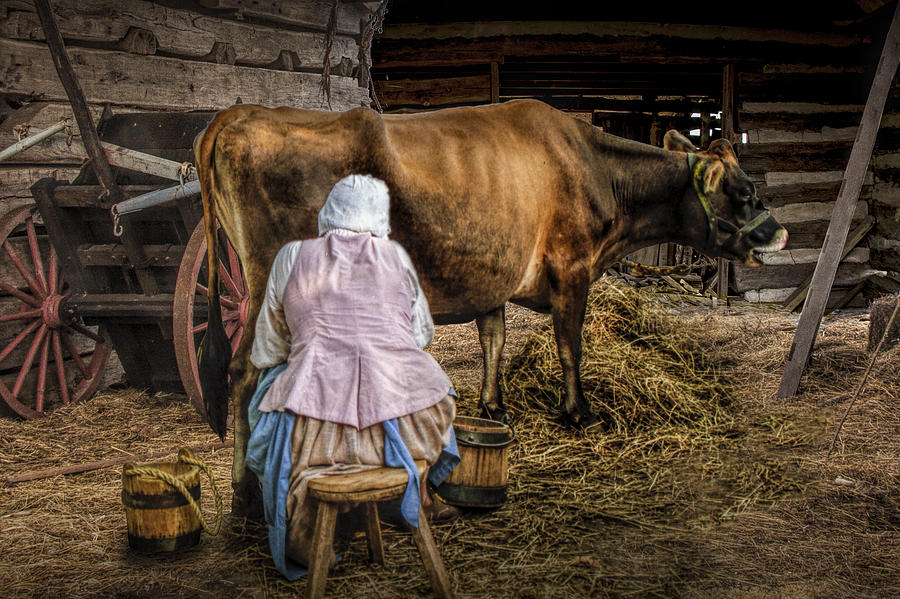 Milk Maid Milking Photograph By Randall Nyhof