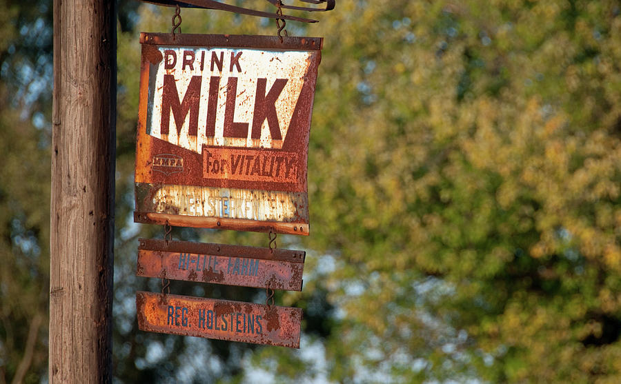 Milk Sign Photograph by David Arment