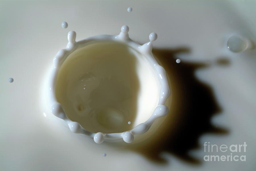 Milk splashing into the air Photograph by Sami Sarkis Photography