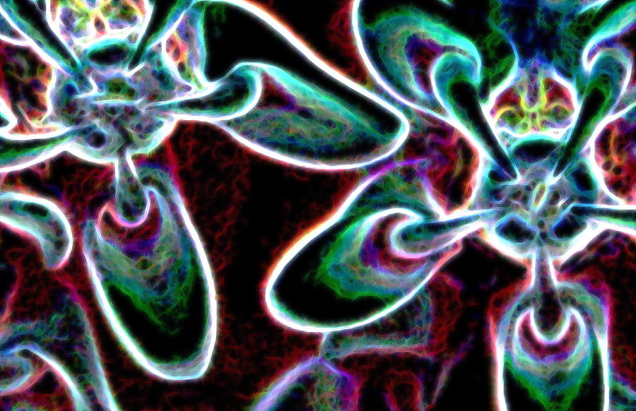 Milkweed in Neon 2 by AJP Milkweed in Neon 2 by AJP