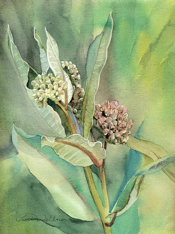 Watercolor print- Milkweed Storm