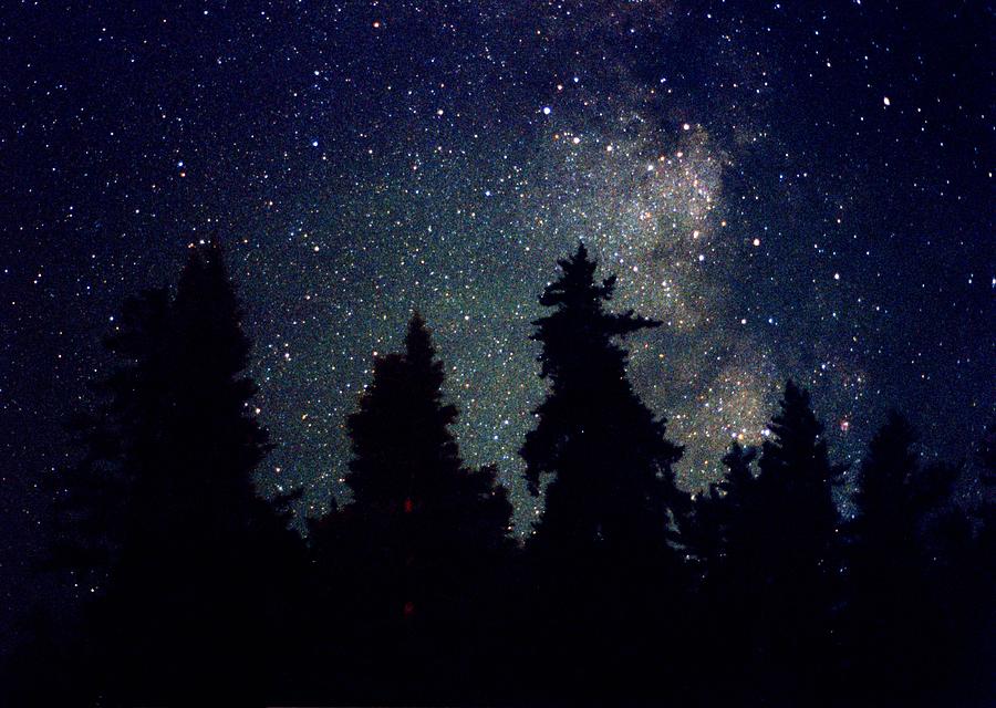 Milky Way Above Northern Forest 22 Photograph by Lyle Crump