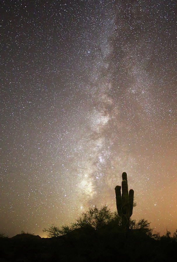 Milky Way and Saguaro Cactus Photograph by Jean Clark