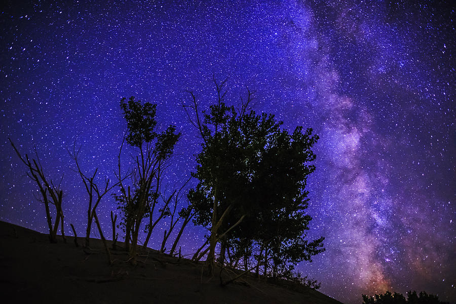 Milky way and silhouette trees at Bruneau Dunes State Park Idaho Photograph by Vishwanath Bhat