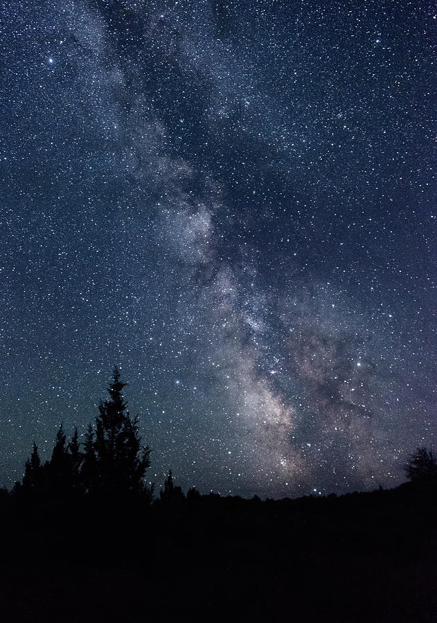 Milky Way at Eastern Oregon Wilderness Digital Art by Michael Lee