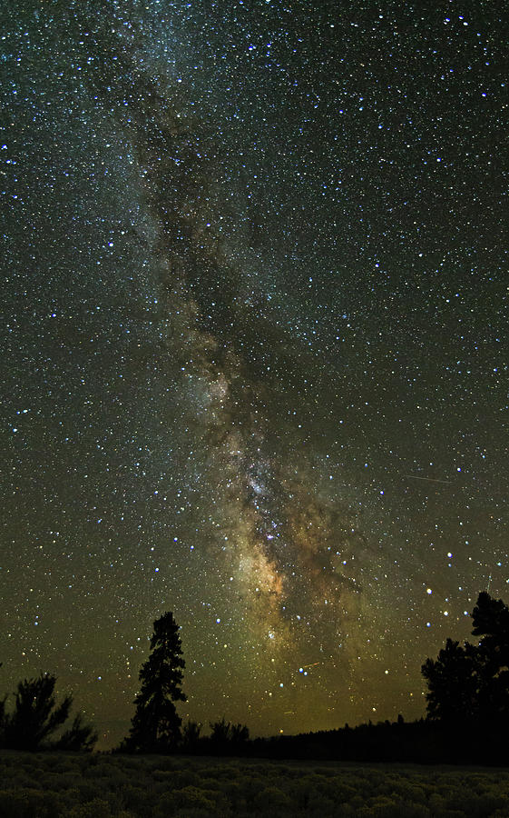 Milky Way From Central Oregon Photograph by Angie Vogel