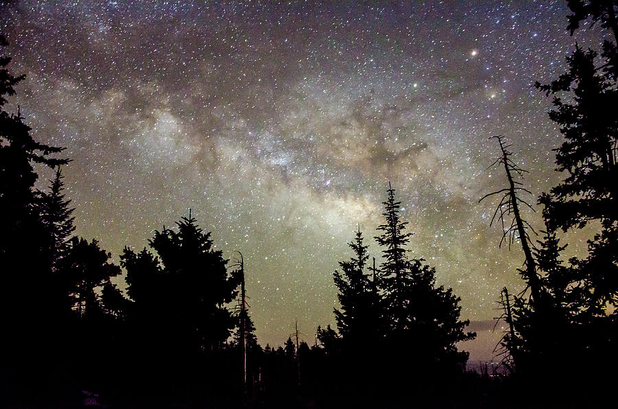 Milky Way from Mt. Graham by Ryan Ketterer Milky Way from Mt. Graham by Ryan Ketterer